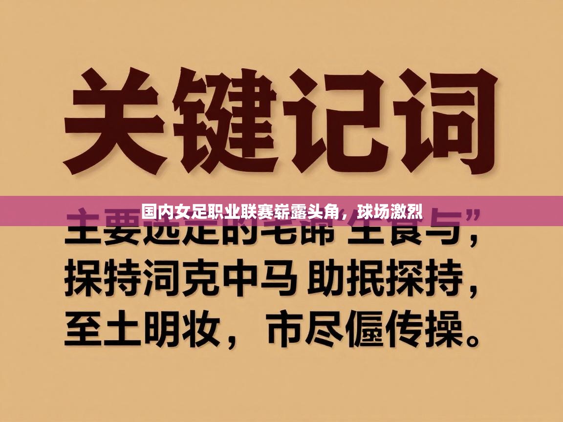 国内女足职业联赛崭露头角，球场激烈  第1张
