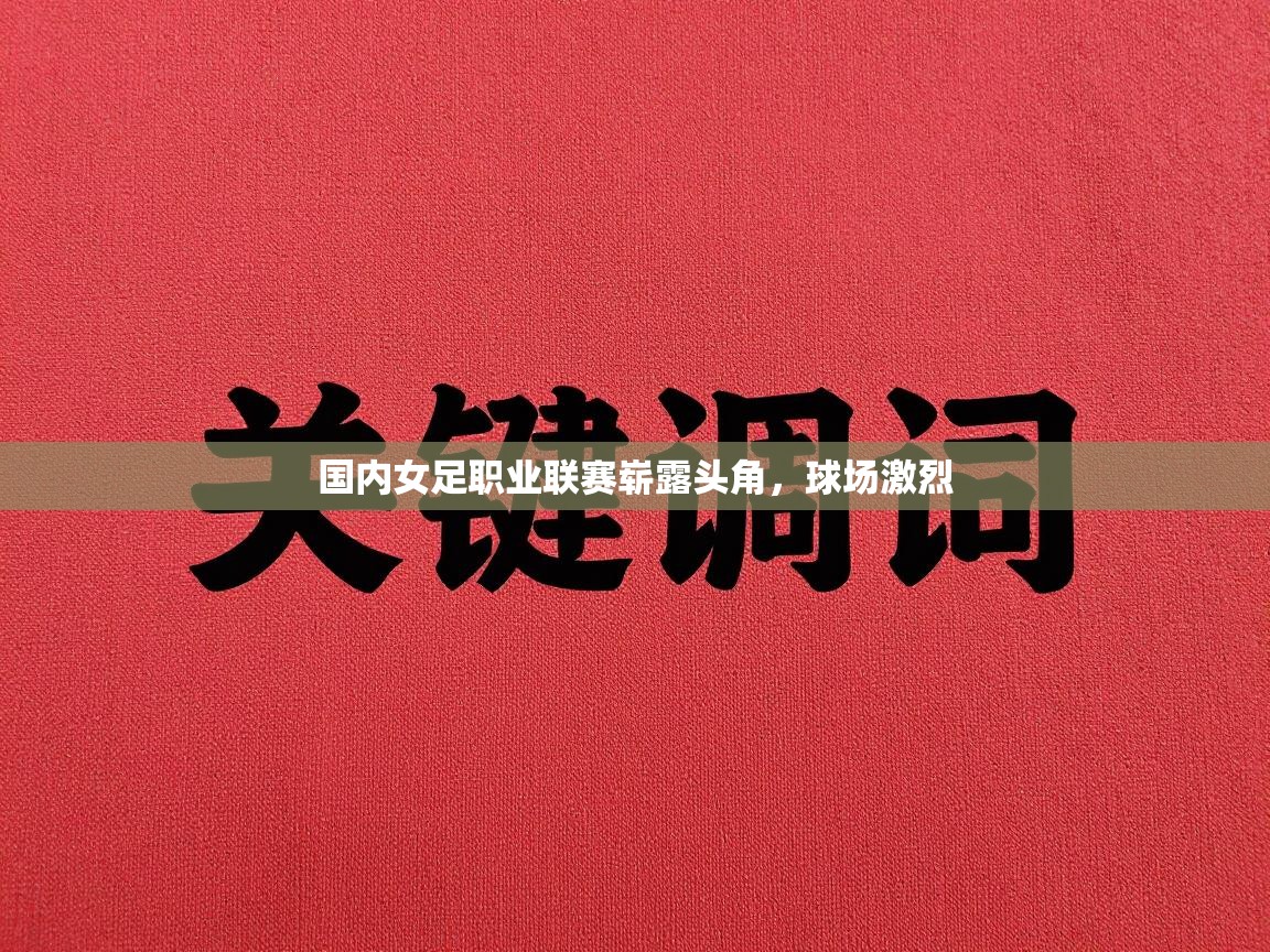 国内女足职业联赛崭露头角，球场激烈  第2张