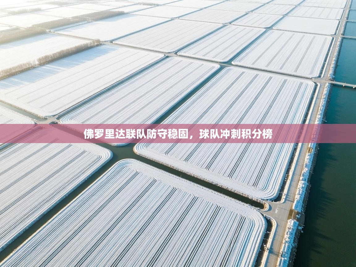 佛罗里达联队防守稳固，球队冲刺积分榜  第1张