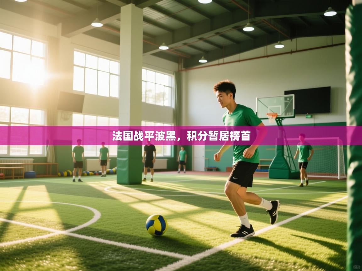 法国战平波黑,积分暂居榜首 第1张