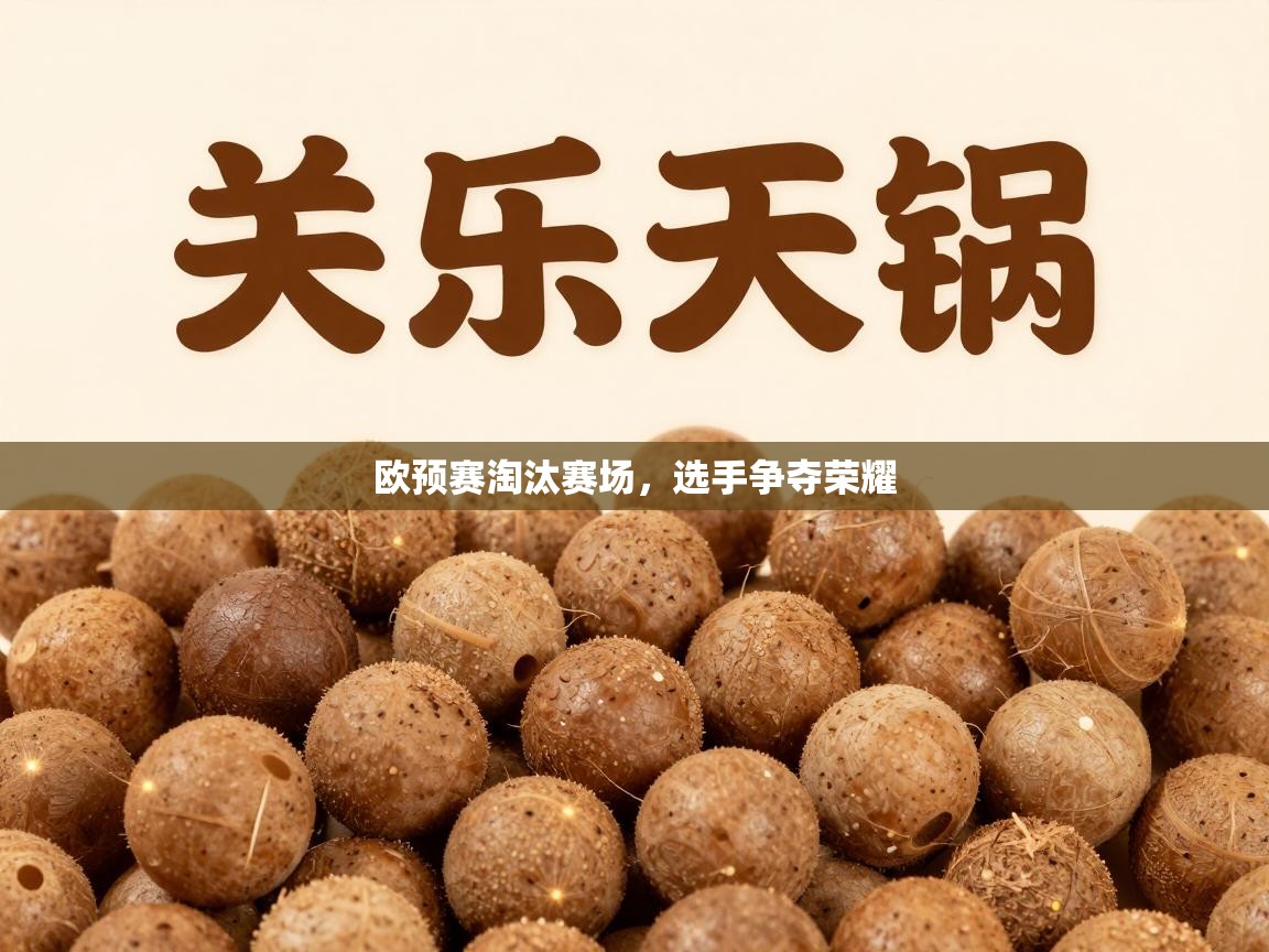 欧预赛淘汰赛场,选手争夺荣耀 第2张