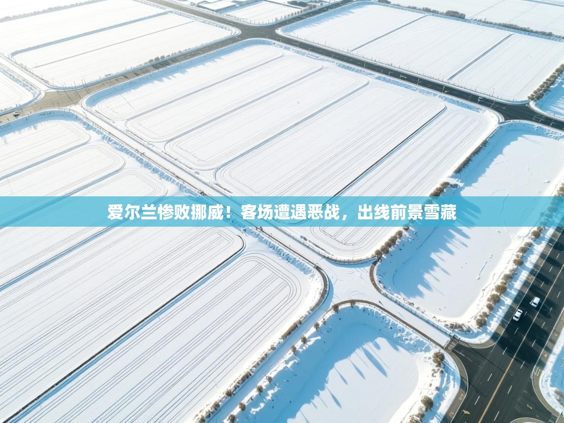 爱尔兰惨败挪威！客场遭遇恶战，出线前景雪藏  第2张