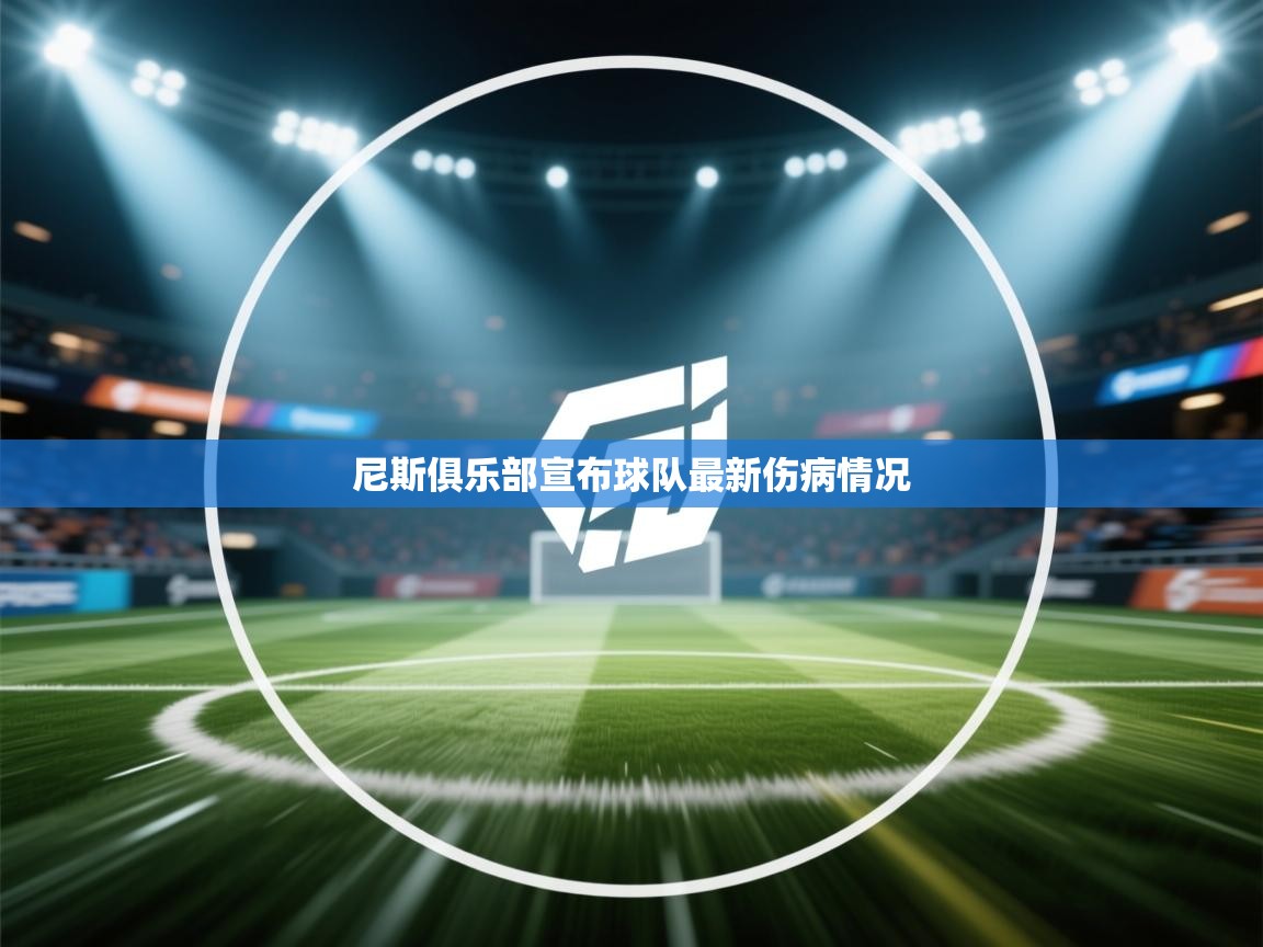 尼斯俱乐部宣布球队最新伤病情况 第1张